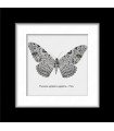 Framed Thysania agrippina
